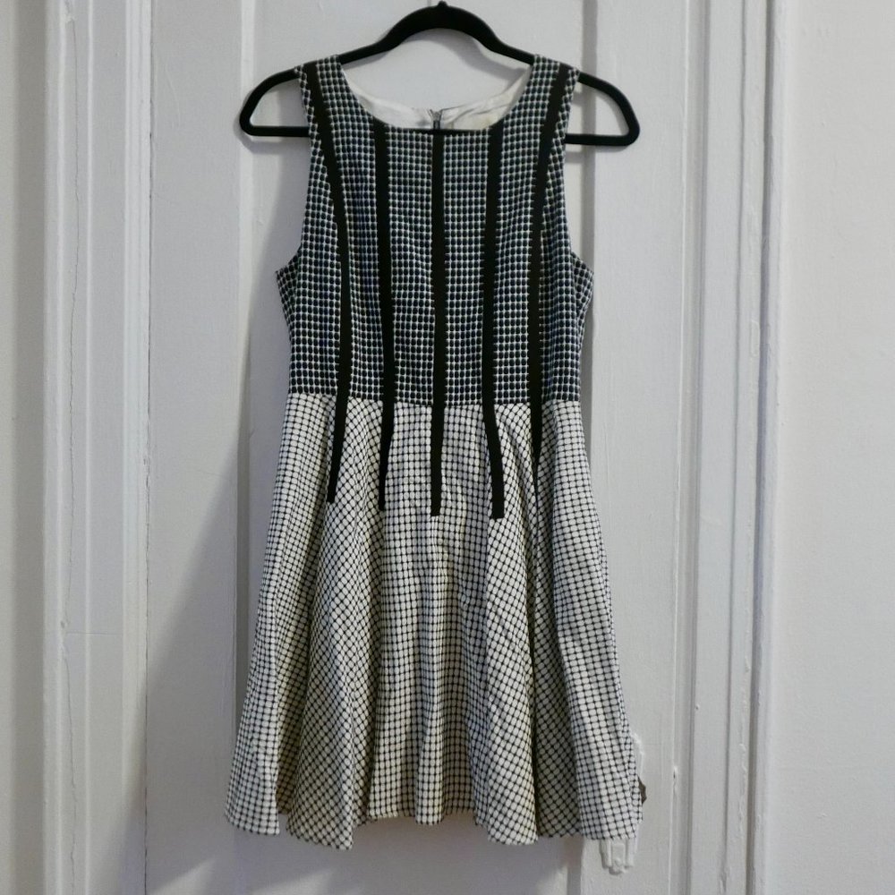 Black and White Line & Dot Pleated Dress